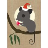 Possum Christmas 