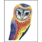Owl Gift Card