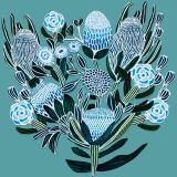 Blue Banksias