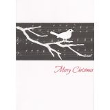 White Music Bird Christmas