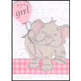 It's a Girl Elephant