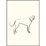 Maple Design - Greyhound Lette