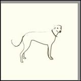 Greyhound Letterpress