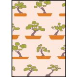 Maple Design - Bonsai Trees on