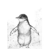 "Phillip" The Penguin