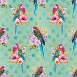 Flora and Fauna - Rosellas 