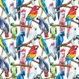 Flora and Fauna - Parrot Talk 