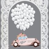 Wedding Party-Just Married Car