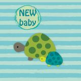 Baby Beauties - Tortoise