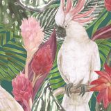 Lush Life - Cockatoo Jungle