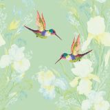 Springtime - Hummingbirds