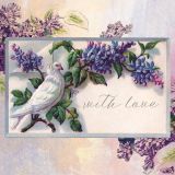 Vintage Lilacs - With Love