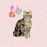 Catty - Cat With Balloons