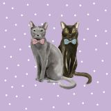 Catty - Cat Duo Mauve