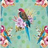 Flora and Fauna - Rosellas 