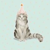 Catty - Cat In A Party Hat