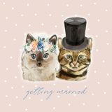 Catty - Getting Married