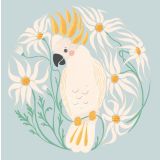 Cockatoo & Flannel Flowers