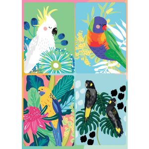 Cockatoo & Parrots 