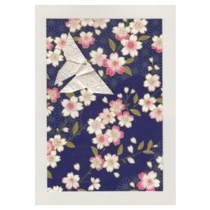 Butterfly - Navy Blue & Pink 