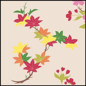 Colored Maple Leaves