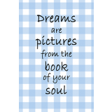 Dreams Are Pictures... 60mm x 90mm Magnet