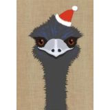 Emu  Christmas Card